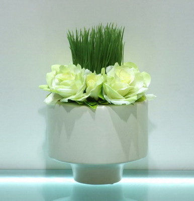 小盆栽產(chǎn)品價格_圖片_報價