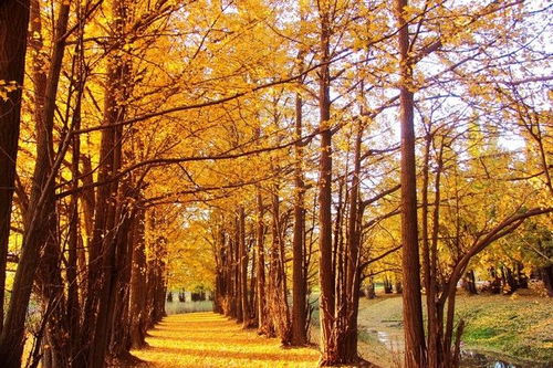 云南玩法新升級,拒絕常規攻略