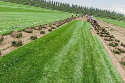 銅川林木產品信息_銅川企業產品分類信息_銅川壹佰業