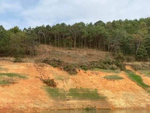 持續開展巡湖工作,共護綠水青山