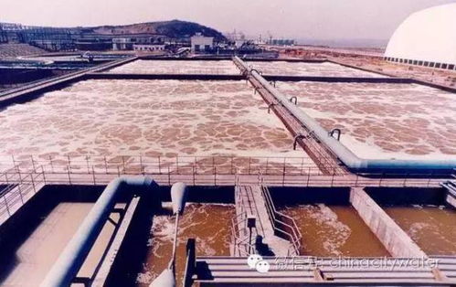 讀完這二十七條,一夜變成污水處理行家