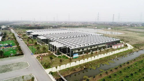 美 強(qiáng)烈推薦海門這5家