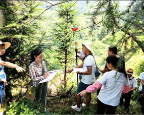 榕江縣人民政府 部門動態(tài) 榕江縣樂里鎮(zhèn)林業(yè)站認真完成國道211線改擴建工程征用林木測量登記工作