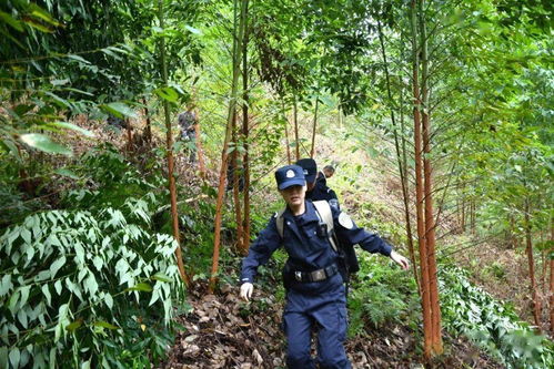 羅城 兩村民小組間有一片荒地,引起種植林木糾紛,幾個部門聯(lián)合執(zhí)行