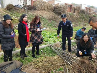 林木種苗行政執(zhí)法體系建設,構建公平公正和諧的林木種苗發(fā)展環(huán)境