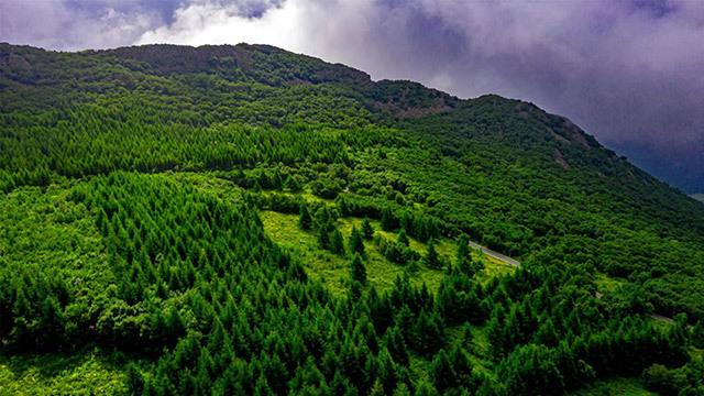 推動(dòng)&ldquo;五大任務(wù)&rdquo;見(jiàn)行見(jiàn)效,突泉縣這樣做!