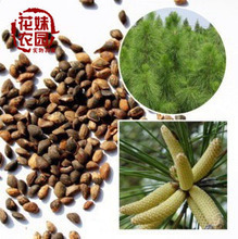 【花妹苗木】最新最全花妹苗木 產(chǎn)品參考信息