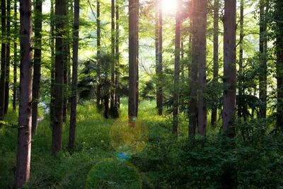 @寶爸寶媽 暑假陪孩子去哪玩?鄭州這些地方值得收藏!