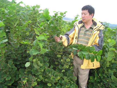 北林大多位學者入選2019年中國高被引學者名單