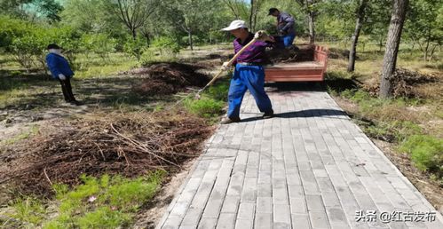 紅古區(qū)綠化管理所開展林木養(yǎng)護工作