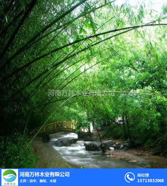 開封竹木地板廠家電話 開封竹木地板 萬林木結(jié)構(gòu)廠家