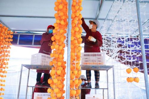 分享式 扶貧對(duì)一個(gè)村莊堪比一所大學(xué)