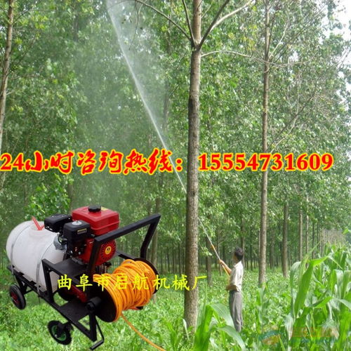 小型手推式打藥機 園林消毒機 農田果樹專用打藥機價格