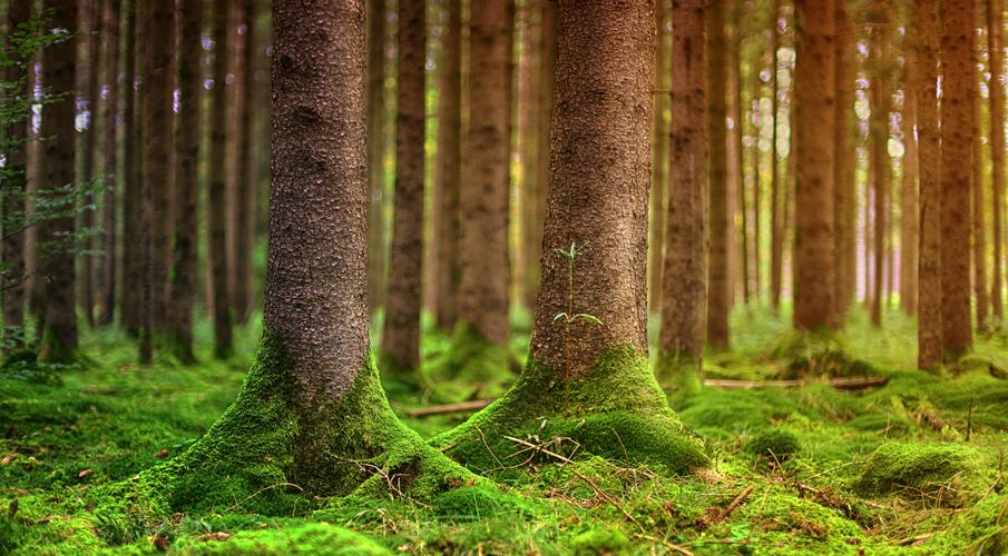 綠色(家具,建材,快遞包裝)產(chǎn)品認證