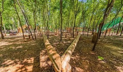 關(guān)于科學利用林地資源促進木本糧油和林下經(jīng)濟高質(zhì)量發(fā)展的意見 林草生態(tài)匯