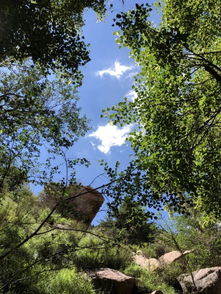 梅力更 還記得20年前的夏天嗎